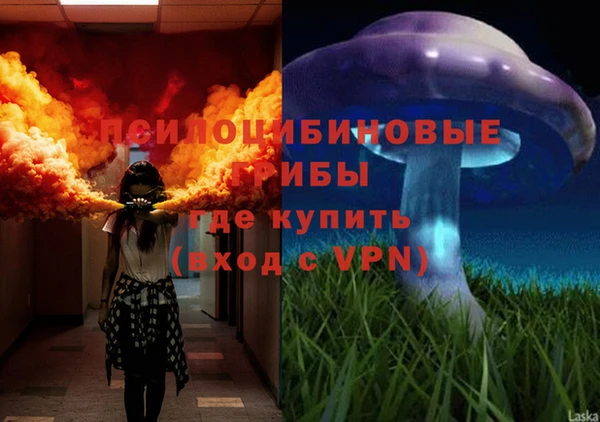 дурь Вяземский